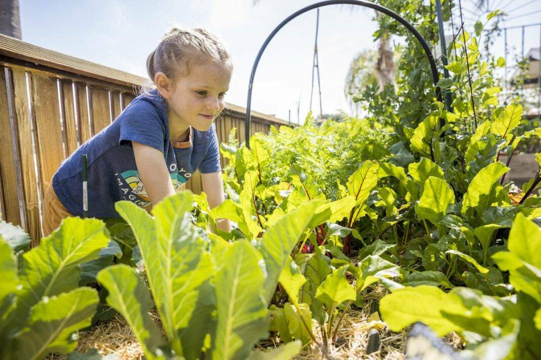 Child in a garden.