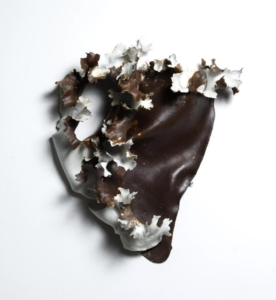 Kayla Sweet-Newhouse porcelain lichen sculpture